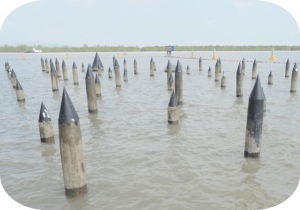 Bãi Cọc Trên Sông Bạch Đằng (phục Dựng) Min