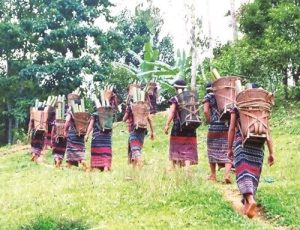 Phụ Nữ Dân Tộc Cơ Tu(quảng Nam) Sử Dụng Gùi để Vận Chuyển đồ đạc Min