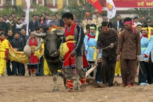 Tái Hiện Lễ Tịch điền Tại Núi Đọi(hà Nam) Năm 2010(người Cầm Cày Là Chủ Tịch Nước Nguyễn Minh Triết) Min
