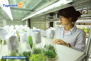 Công Nghệ Sinh Học Cây Trồng Biến đổi Gen