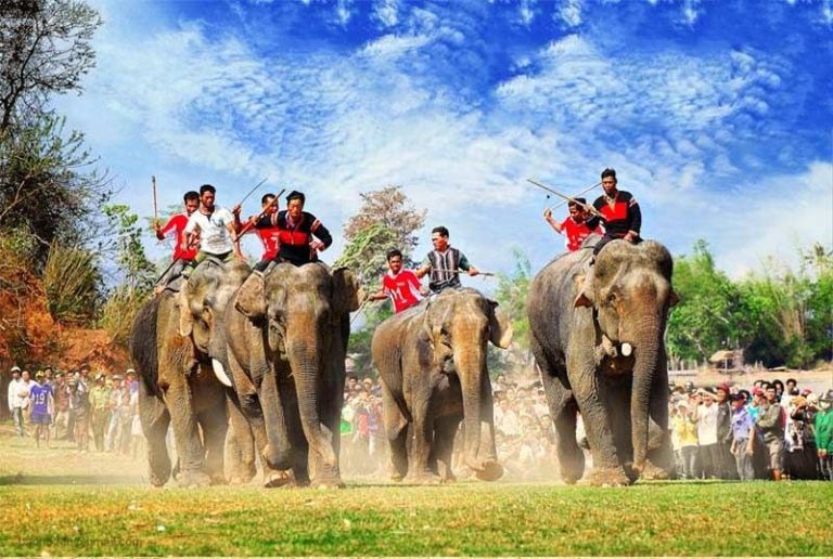 Lễ Hội đua Voi ở Tây Nguyên. Min