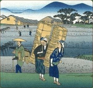 Nghề Trồng Lúa Trở Thành Ngành Kinh Tế Chính Của Trung Quốc Cổ đại. Min