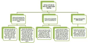 Sơ đồ Tư Duy Sử Học Với Một Số Ngành Nghề Hiện đại Min