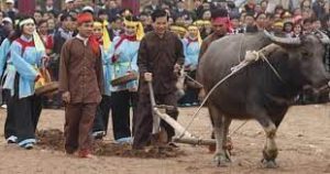 Tái Hiện Lễ Tịch điền Tại Núi Đọi (hà Nam) Năm 2010. Min