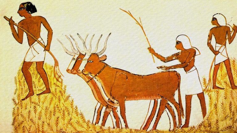 Tình Hình đời Sống Của Nông Dân Công Xã Và Nô Lệ Ai Cập Cổ đại. (i) Min